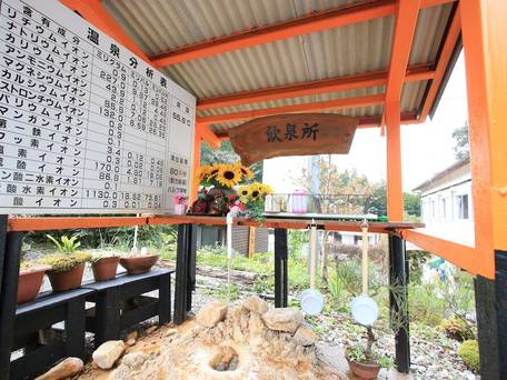 仙寿の里 ラムネ温泉 / 4