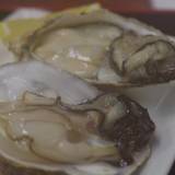 漁師の海鮮丼（リョウシノカイセンドン）