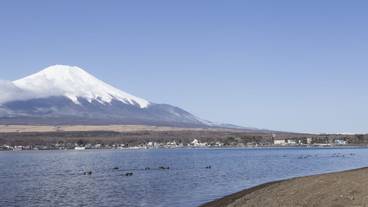 マウンテン ビュー / 21