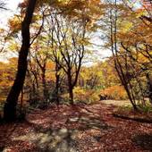那須別邸 回（栃木県 旅館） / 4