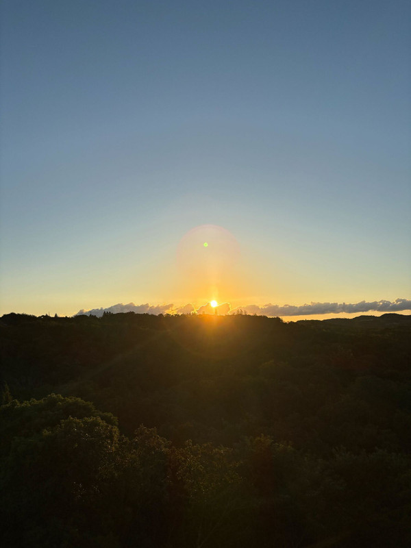 icotto_hkさんの写真 / 2