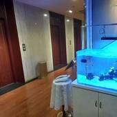 ダイヤモンドホテル（東京都 シティホテル） / 2