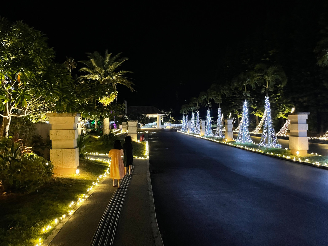 mignon_2015さんの写真 / 1