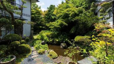 日本庭園 / 34