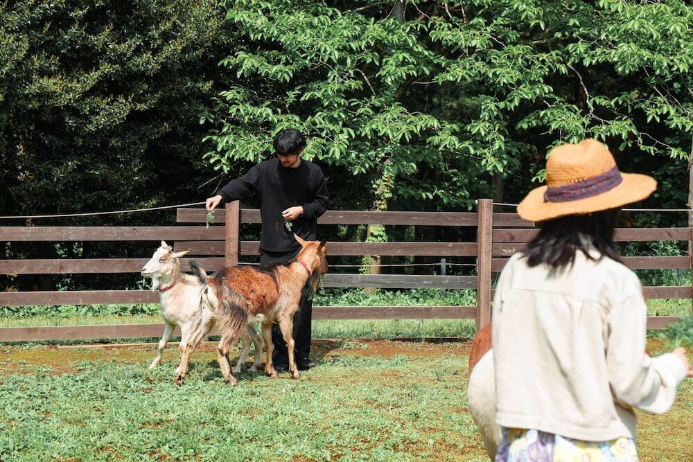 子供用の遊び場 - 屋外