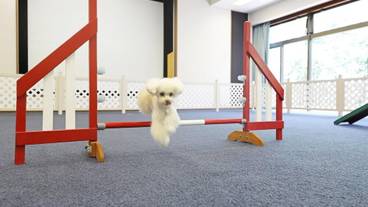 施設の敷地 / 14