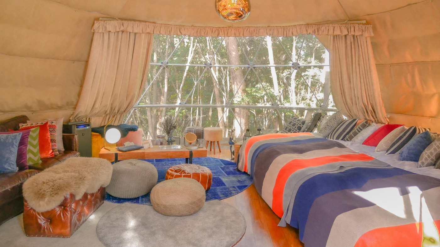 専用エリアのドーム型テントがワンちゃんOKルーム3931698