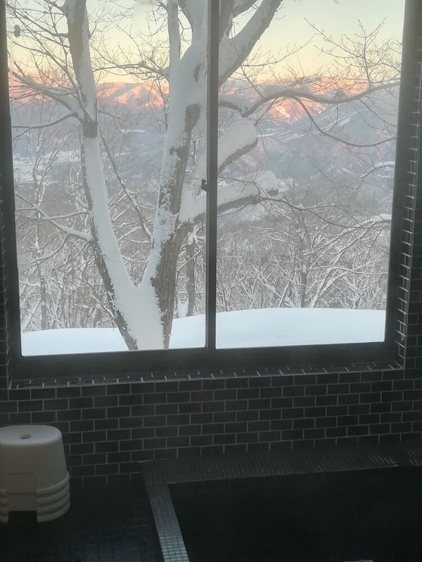 建物のデザイン