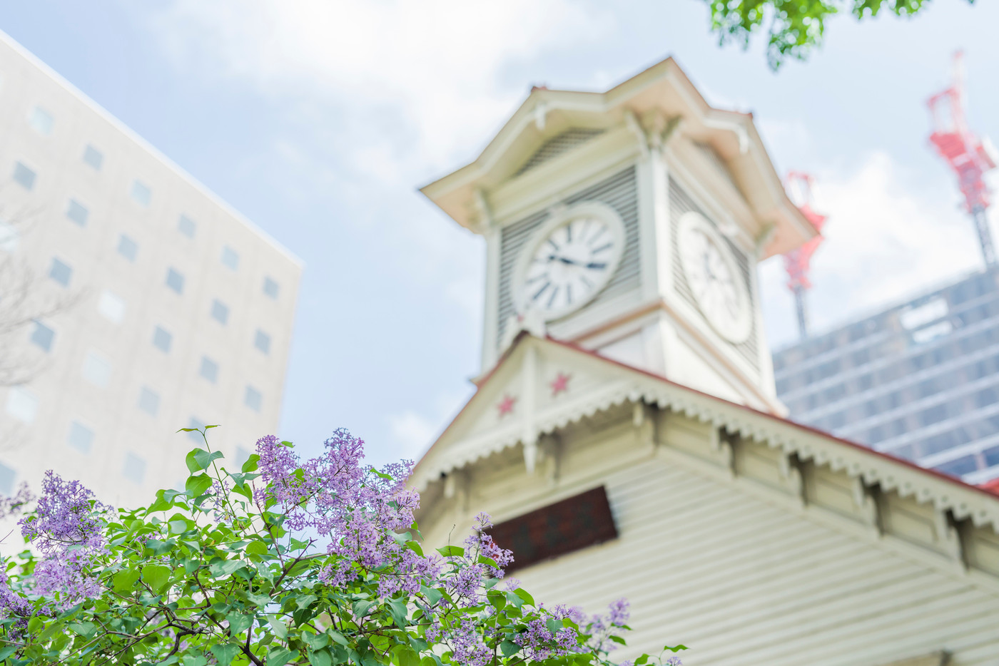 ライラックと札幌時計台のアウトフォーカス