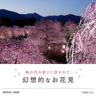 梅の花の香りに誘われて。幻想的なお花見