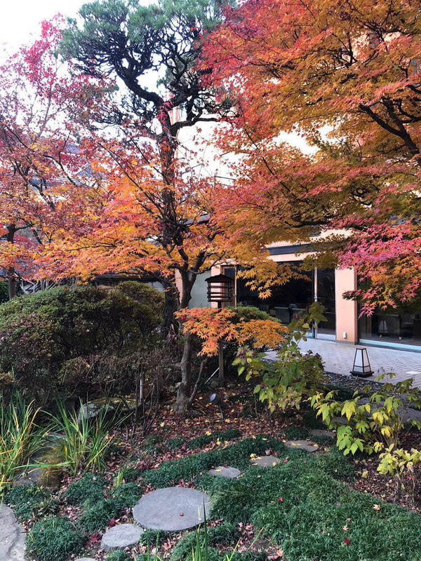 reika_iさんの写真 / 1