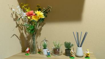 客室の設備とサービス / 24