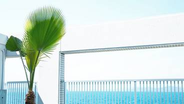 ビーチ / オーシャン ビュー / 4