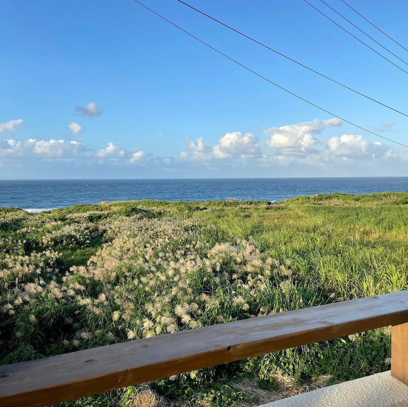 amiamiami74さんの写真 / 2