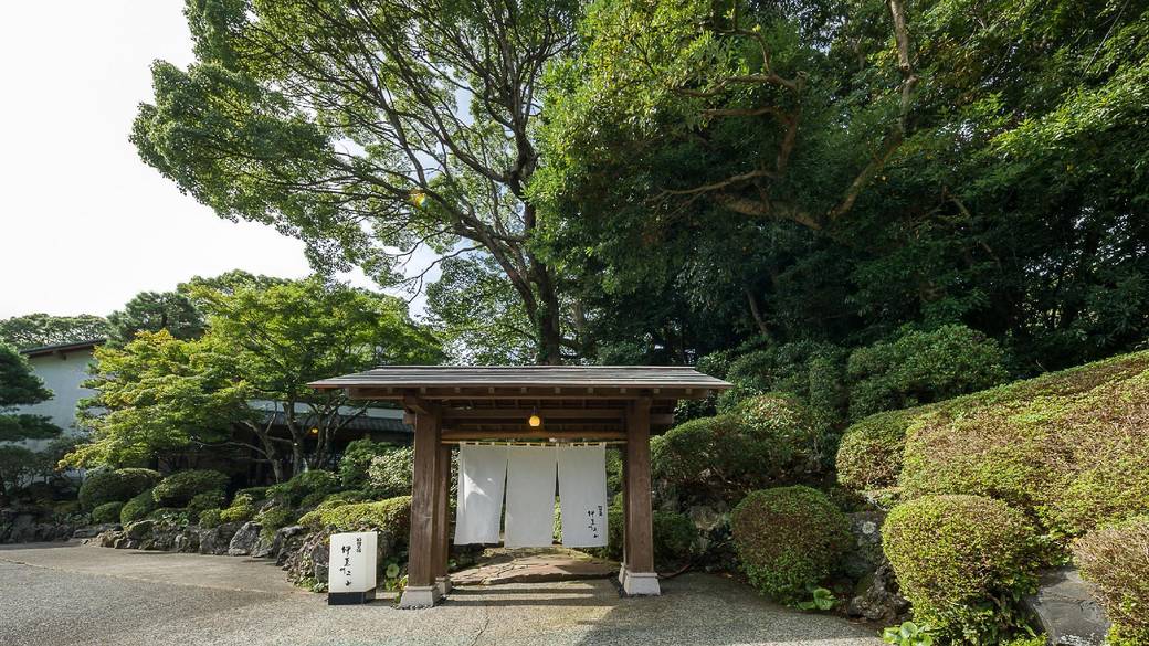 森の静寂がお出迎え
到着早々、癒しの世界へ / 1