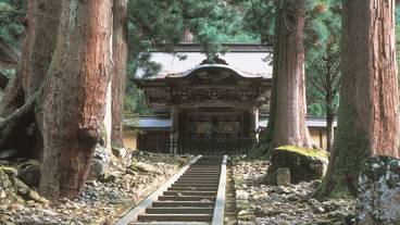 施設からの眺望 / 24