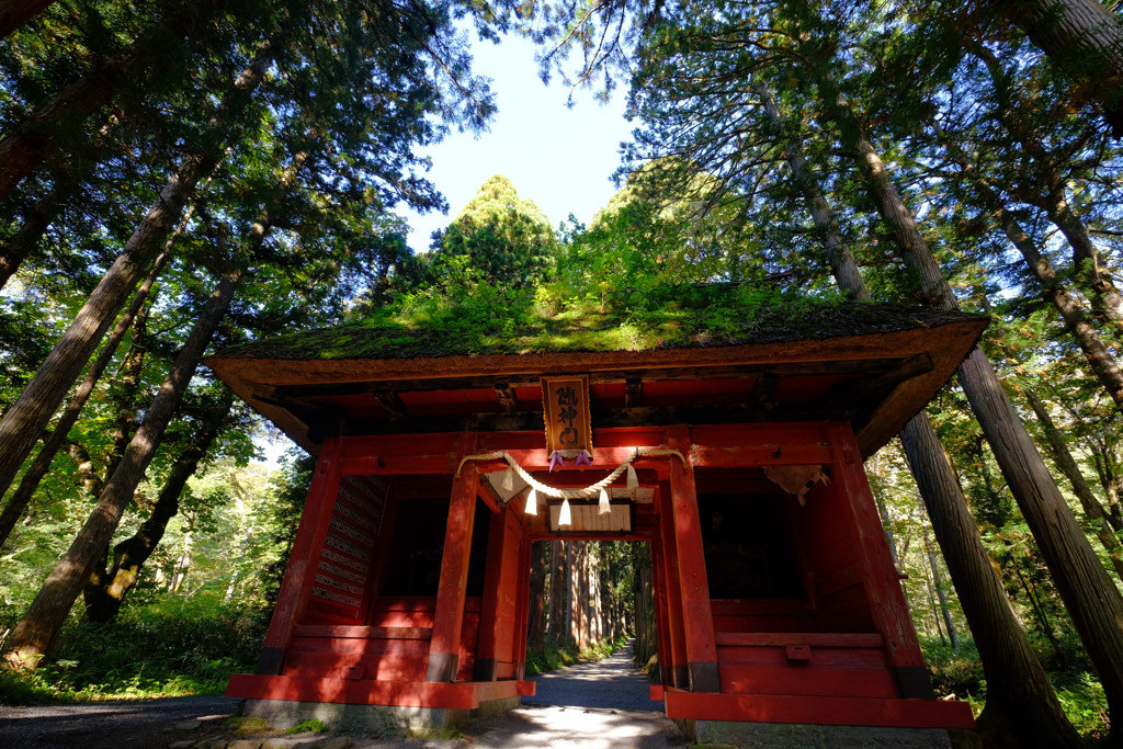 開運を願い、五社めぐりで運気のバランスを整える神社2047786