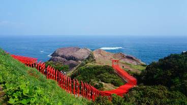施設の敷地 / 13
