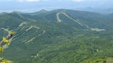 ランド ビュー / 7