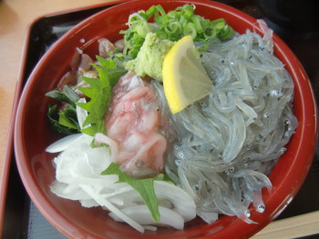 「美湯　松帆の郷」料理 899229 生シラス丼（季節限定です）