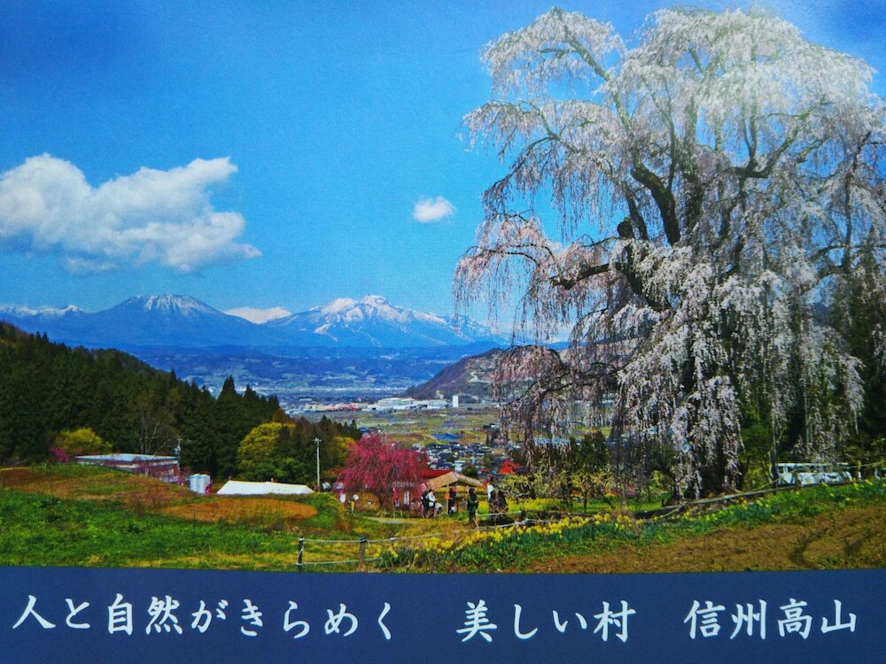 観光スポット