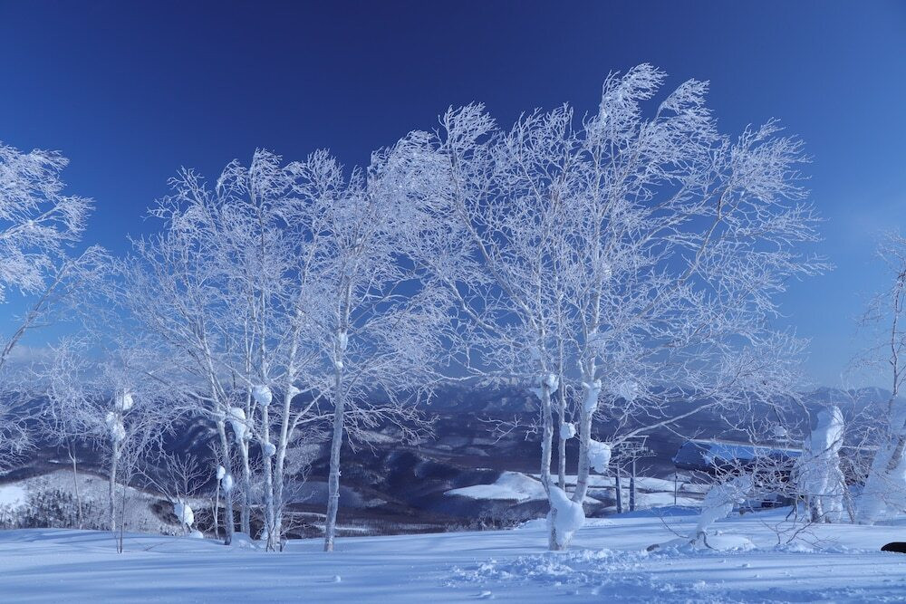 スノー スポーツとスキー