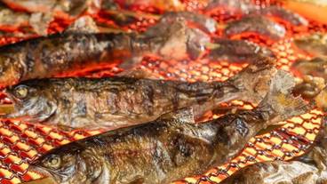 ビュッフェ / 33