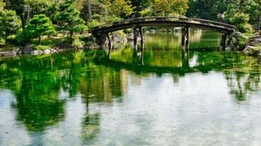 ランド ビュー / 11