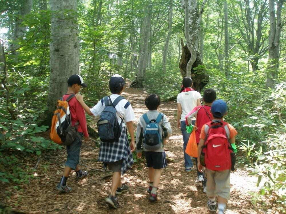 マウンテン ビュー