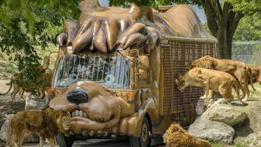 観光スポット / 7