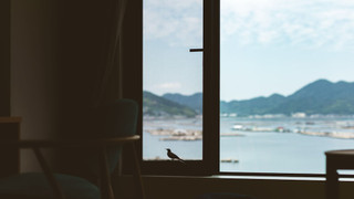 スタンダード和洋室 B 禁煙 / 33平米 (バスルーム無)