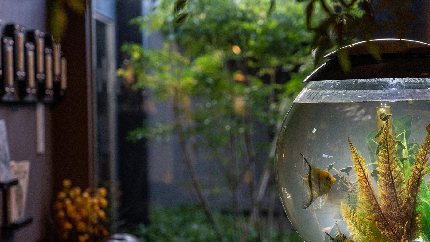 湯布院の絶景を眺めながら、心身を磨くくつろぎタイム3747345