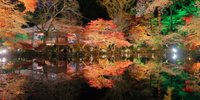 11月の京都ならではの紅葉や祭りは見逃せません！厳選した7つのイベントを紹介