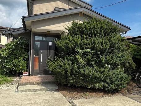 enico.Mt.Fuji nagomi和 / 2