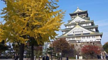 観光スポット / 19