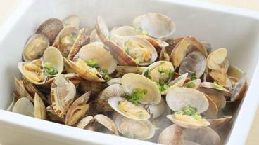 食事・飲み物 / 14