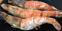 鳥取・幻グルメ！県内でしか食べられない「モサエビ」が味わえる居酒屋
