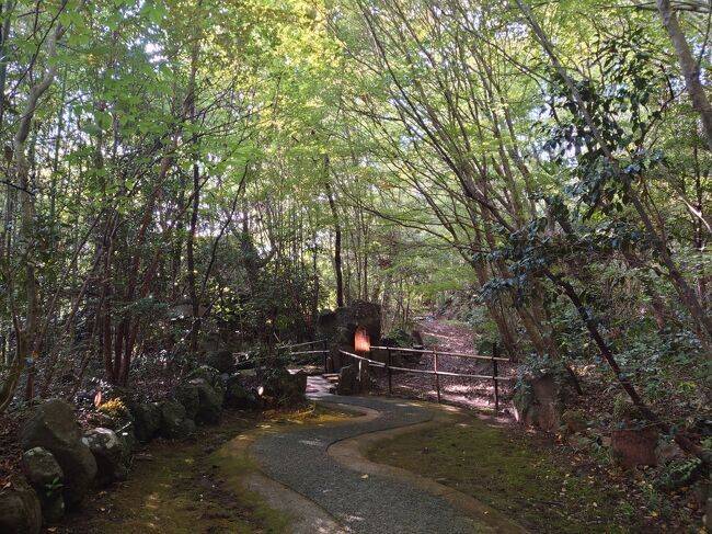 敷地内の風景／小道 / 3