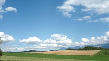 部屋からの景観 / 26