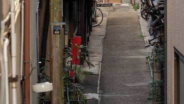 部屋からの景観 / 6