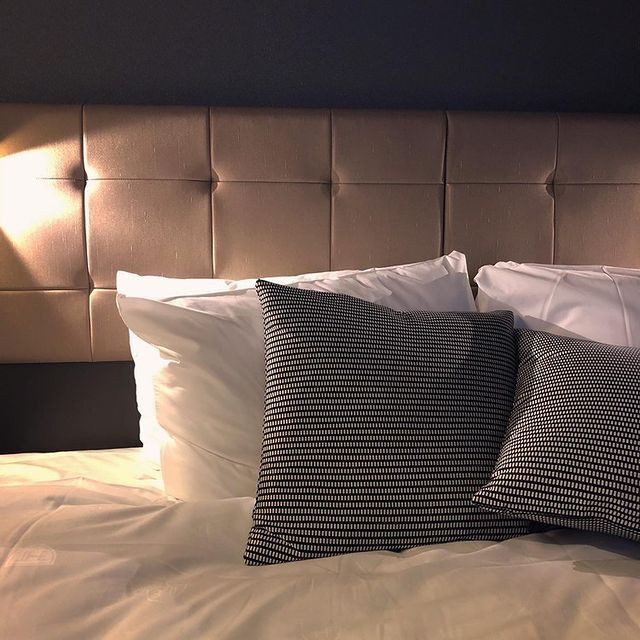 mior3さんの写真 / 1