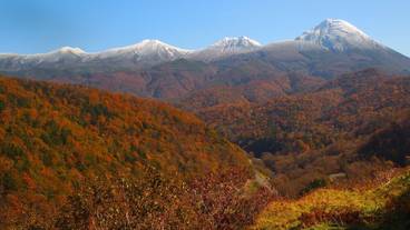 マウンテン ビュー / 23