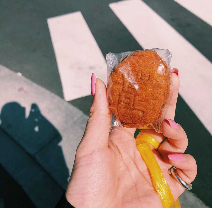 lucahayaseさんの写真 / 3