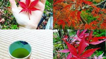 食事・飲み物 / 2