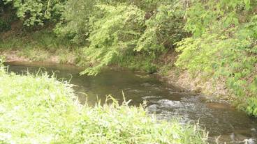 施設の敷地 / 15