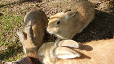 観光スポット / 8