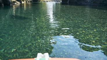 施設からの眺望 / 18