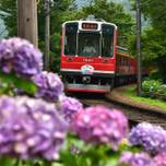箱根登山電車で巡る♪おいしいスイーツ＆カフェ6選