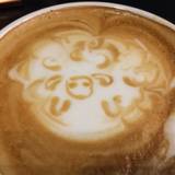 アンソロップ（アンソロップ）