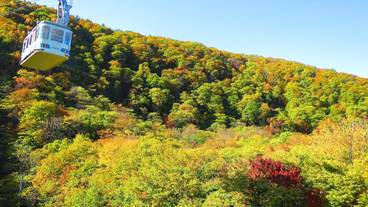 ランド ビュー / 12